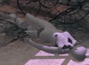 Snapshot 003