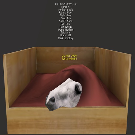 BB Horse Box