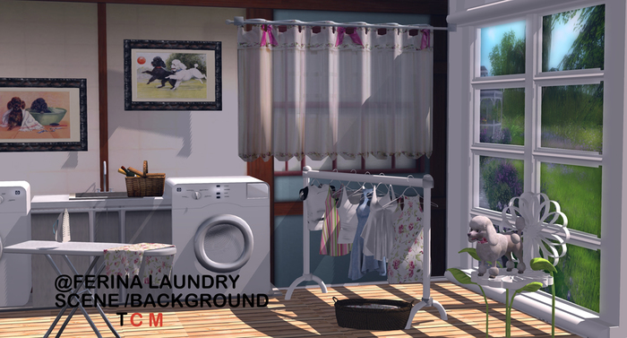 !FERINA SCENE Laundry