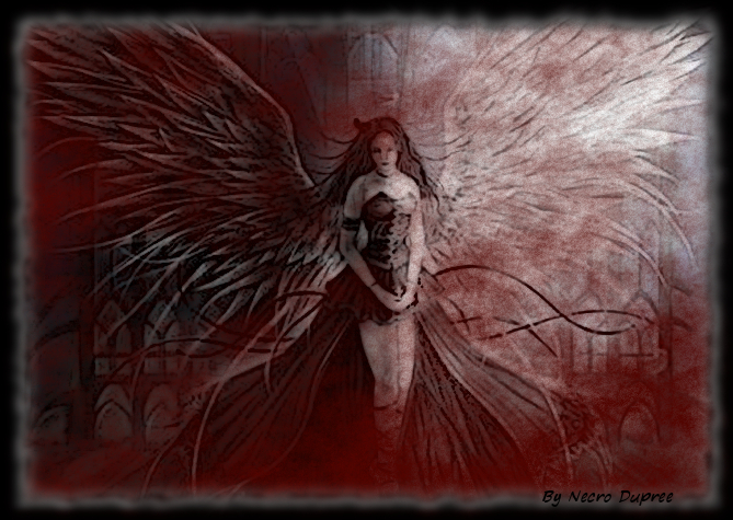 Fallen Angel