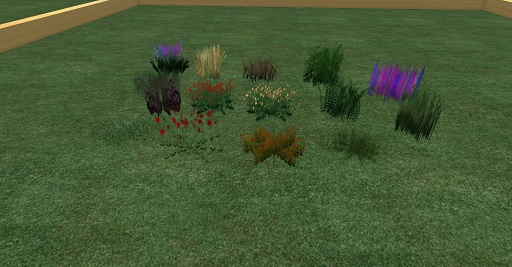 various plants collection