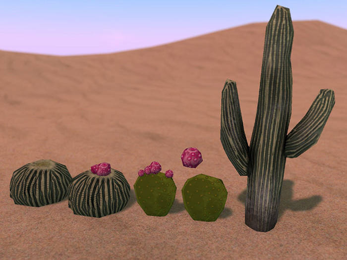 Basic Desert Cactus