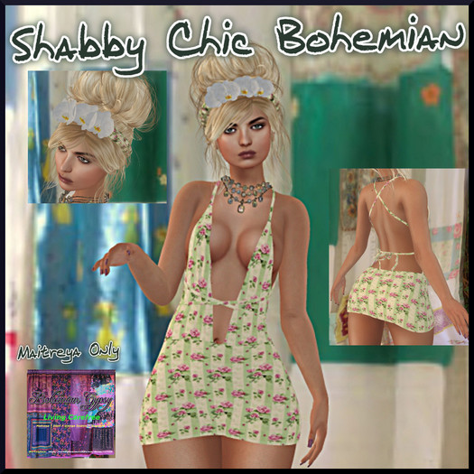 BOHEMIAN: Shaby Chic  Bohemian    (box)