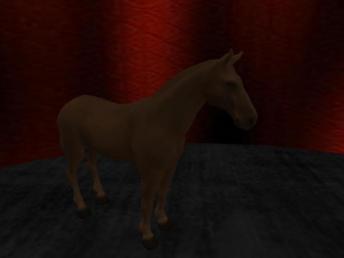 brown horse tipjar