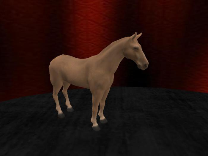 tan horse tipjar