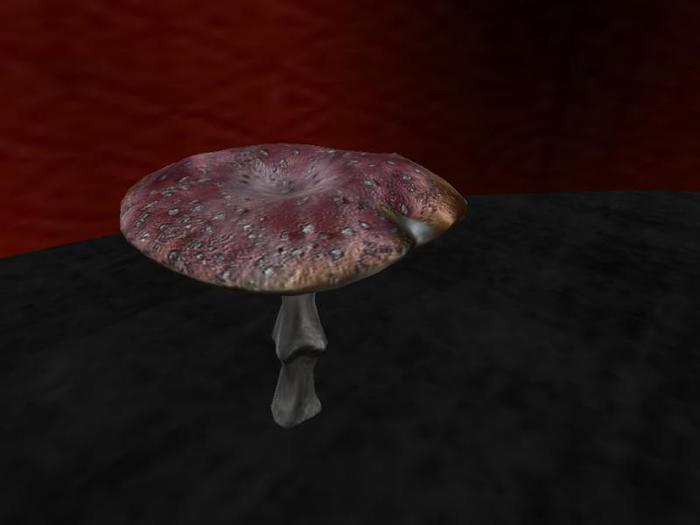 red mushroom tipjar