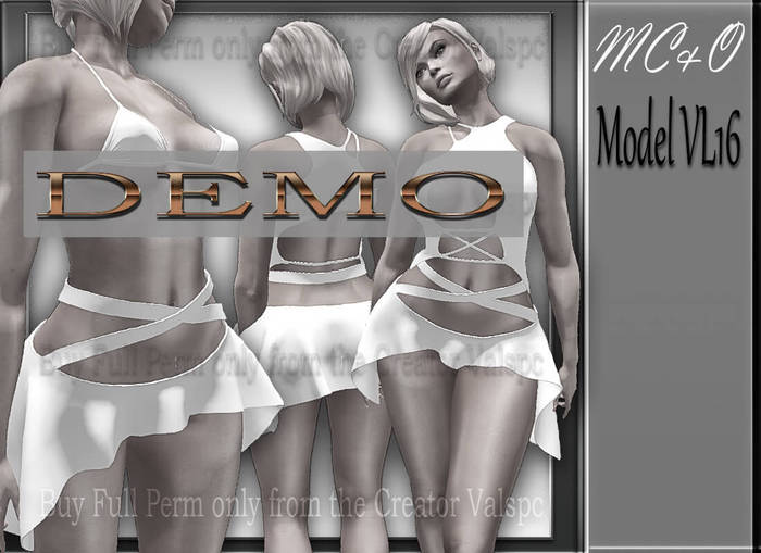 Model VL16 DEMO