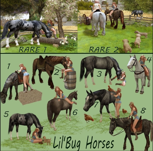 Lil'Bug Horses 7