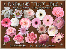 Parkins Textures - Blooming Set - 20x Full Perm Alpha 512x512 - Flower, Particle, Wedding, Decoration, Buttonhole