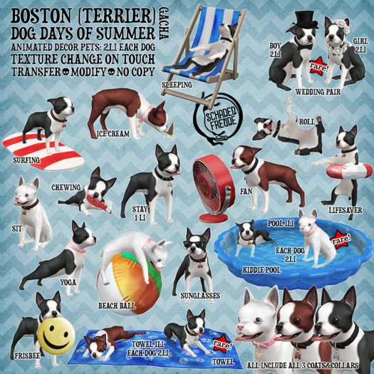 Schadenfreude Boston Dog Days of Summer Wedding RARE