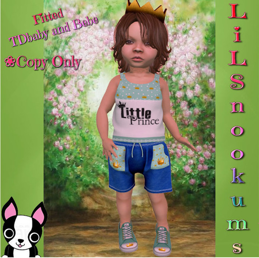 {LiL*SnOokums}Little Prince