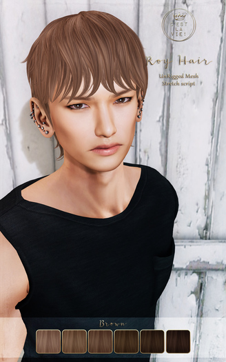 ::C'est la vie !:: Roy Hair [Brown] / 6colors change HUD