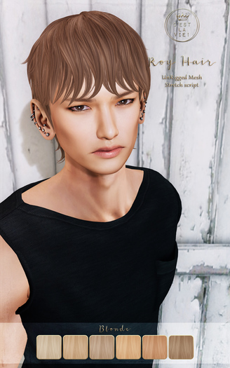 ::C'est la vie !:: Roy Hair [Blonde] / 6colors change HUD