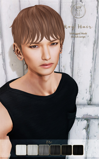 ::C'est la vie !:: Roy Hair [BW] / 6colors change HUD