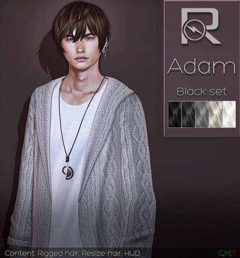 =Reflex= Adam hair-Black set