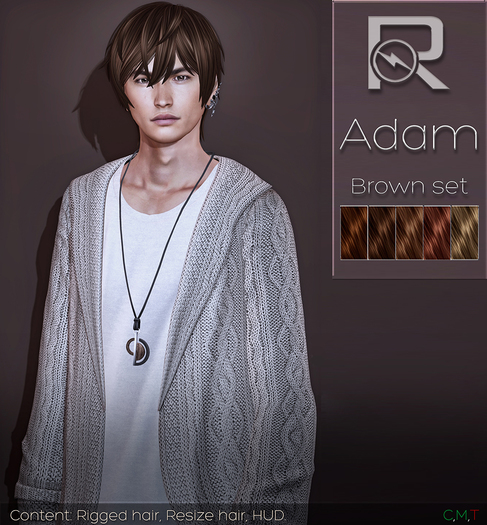 =Reflex= Adam hair-Brown set
