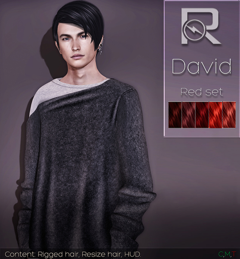 =Reflex= David hair-Red set