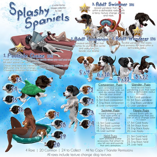 JIAN Splashy Spaniels 14. Brit Black Swimmer BOX