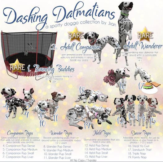 JIAN Dashing Dalmatians 15. Held Pup Liver BOX