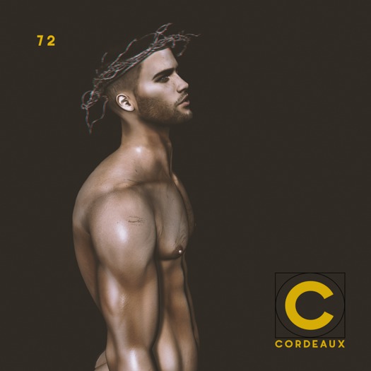 CORDEAUX || Bento Pose | 72