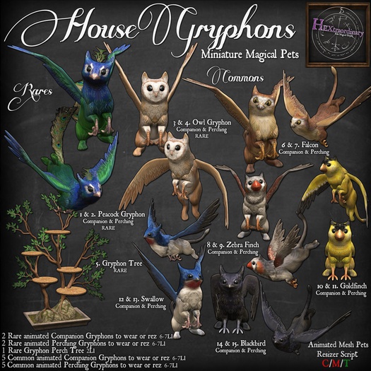 3. *HEXtraordinary* Owl Gryphon - Companion - RARE
