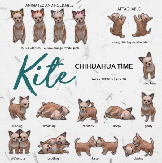 KITE - Chihuahua Time - Cuddly Chi - Pink RARE