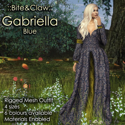 ::B&C:: Gabriella Gown - Blue (Standard Sized Mesh)