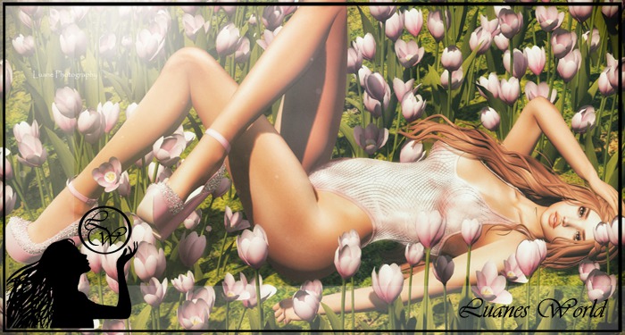 :LW: BENTO Poses - Wide Awake BOXED