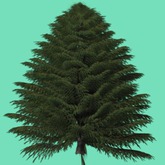 Dark Pine Tree, 1 prim Bagged