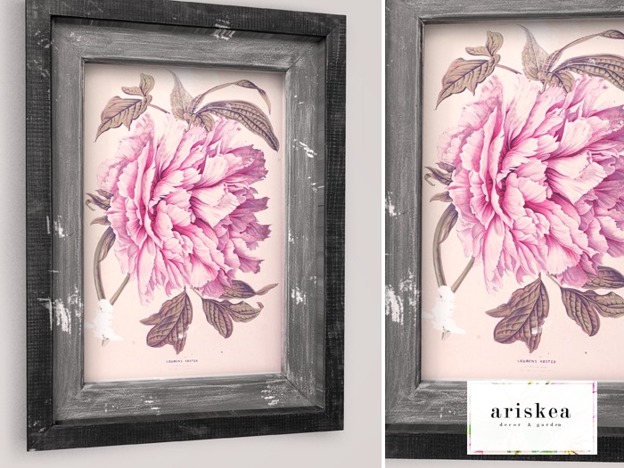 Ariskea[Liu] Peony Frame [ Wear me ]