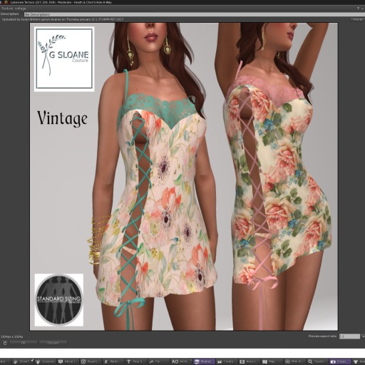 Aqua GSC Vintage Cami Lingerie Dress