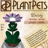 PlantPet Seed [Daisy *Chrome Purple Combo*]