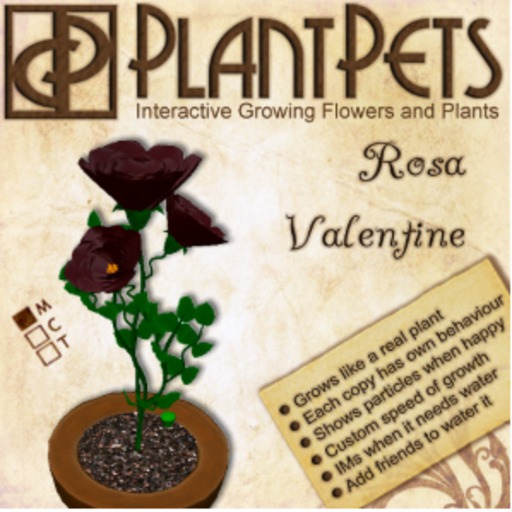 PlantPet Seed [Rosa *Valentine*]