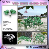 Full Perm Mesh wild ginger ground cover 