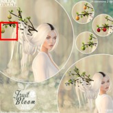 Tableau Vivant // Fruit of the Bloom [pears] - Fades