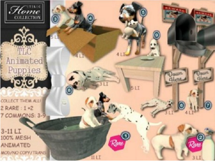 *TLC Puppies 6_Common