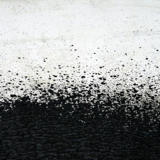 BlackWhite 512x512