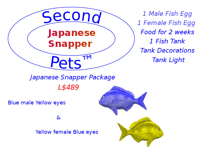 Two Japanese Snapper Eggs Blue & Yellow