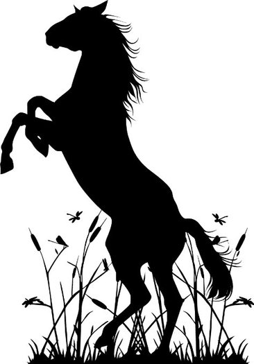 Wall Tattoo - Rising Horse01