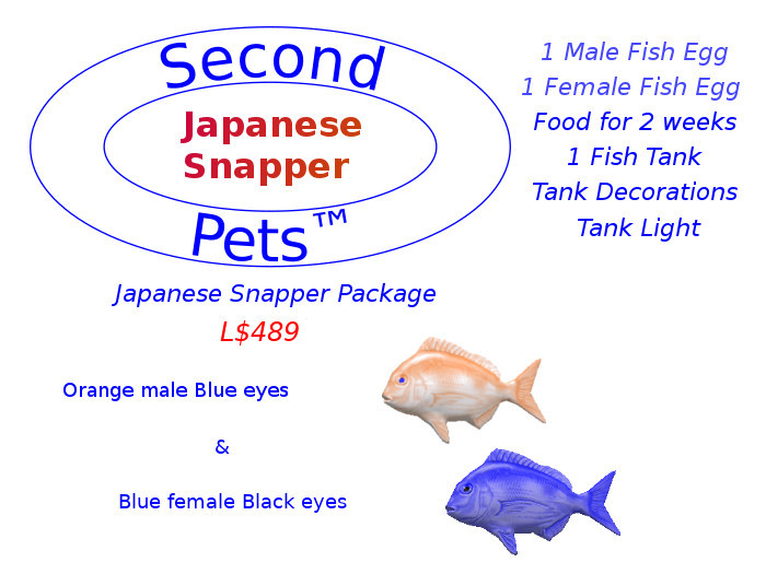 Two Japanese Snapper Eggs Orange & Blue