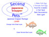2 fish eggs js006 orange green v1 700x525