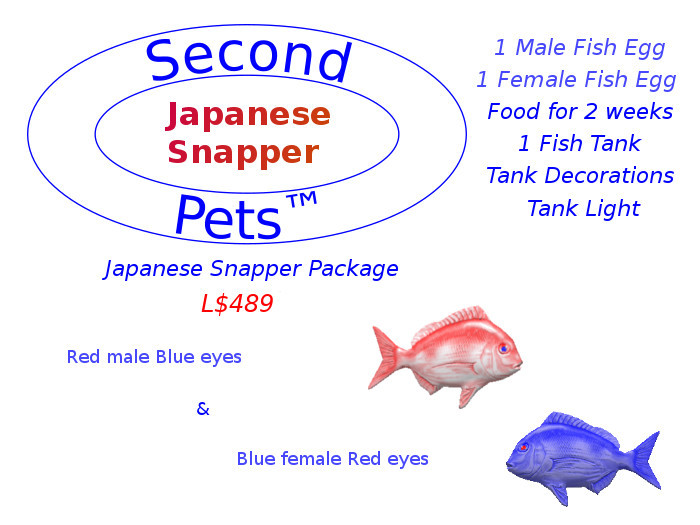 Two Japanese Snapper Eggs Red & Blue
