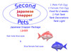 2 fish eggs js008 red blue v1 700x525