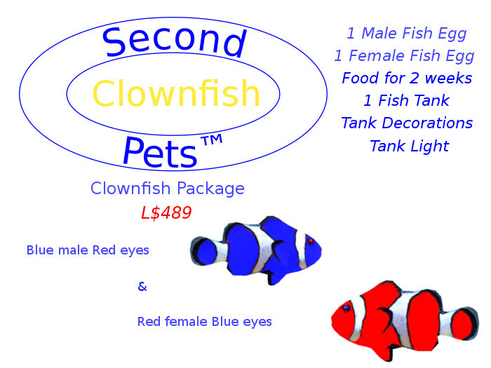 Two Clownfish eggs Blue & Red