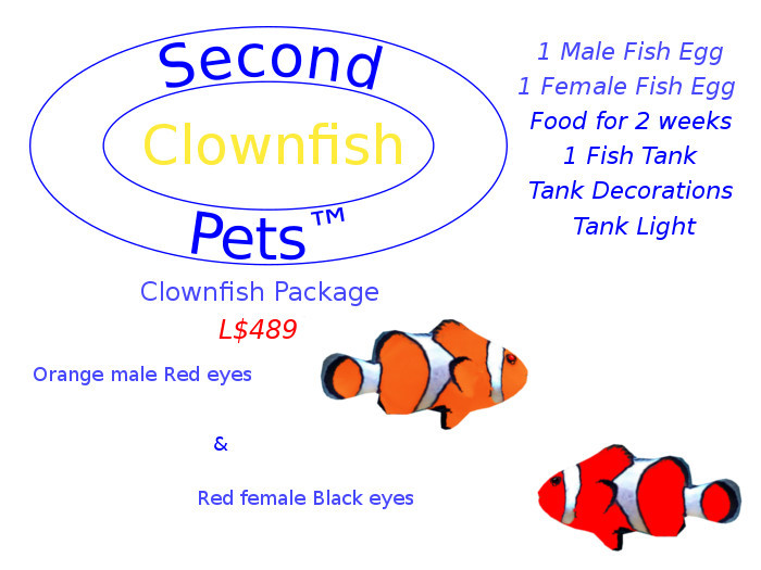 Two Clownfish Eggs Orange & Red