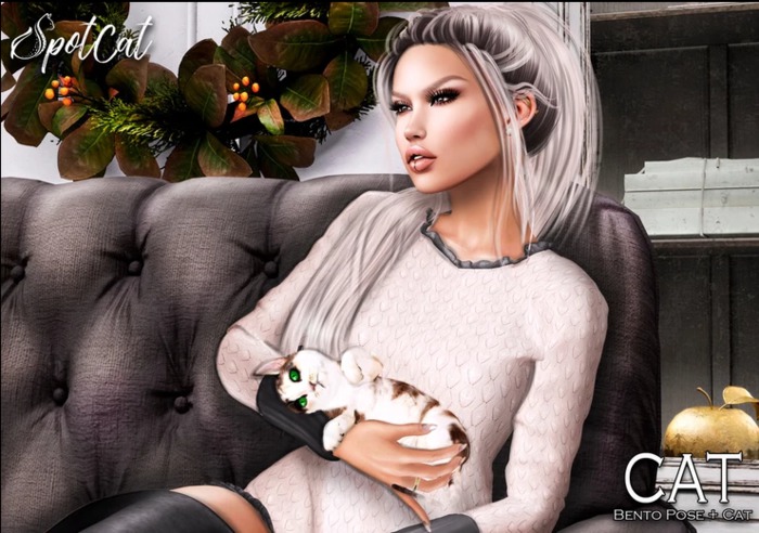 ... SpotCat ... Bento Pose - Cat