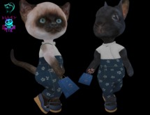 Dinkie August Babe - Stars