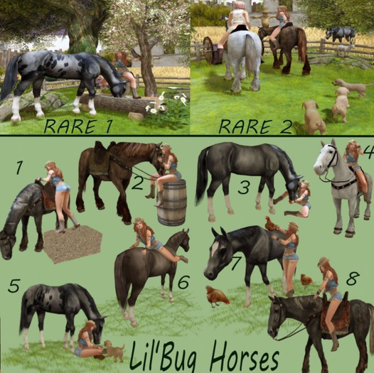 Lil'Bug Horses 1
