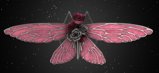 *NW* Eva Wings - Pink