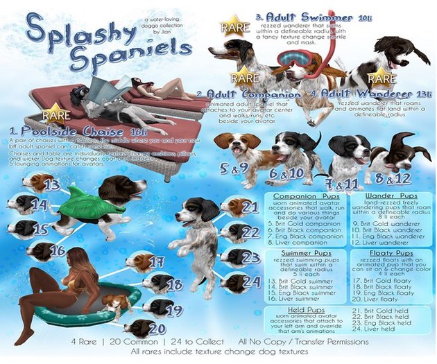 JIAN Splashy Spaniels 24. Liver Held BOX